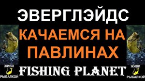 Общий обзор Эверглейдс и фарм на павлиньих бассах в игре Fishing Planet