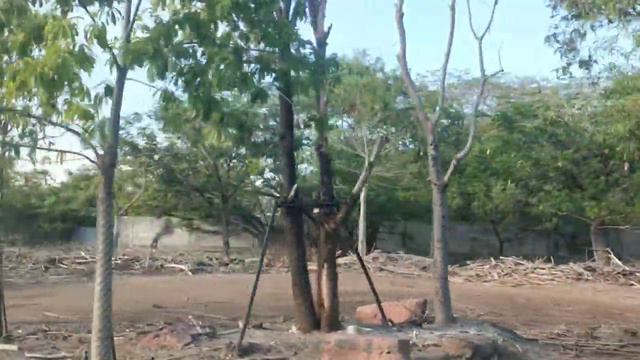 Biggest Open zoo in bangkok - Marine park and safari World смотреть онлайн