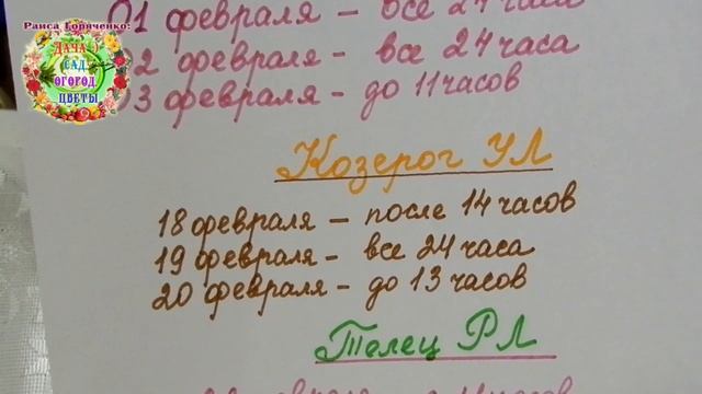 Самая вкусная квашеная капуста получается в благоприятные дни февраля 2020 года смотреть онлайн