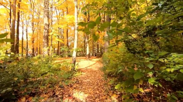 Лествица. Слово 5.  О попечительном и действительном покаянии. Часть 1.