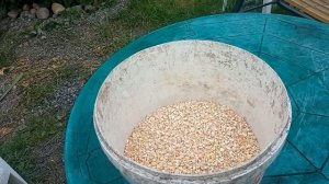 Дорабатываем дешевый комбикорм для перепелов в домашних условиях.