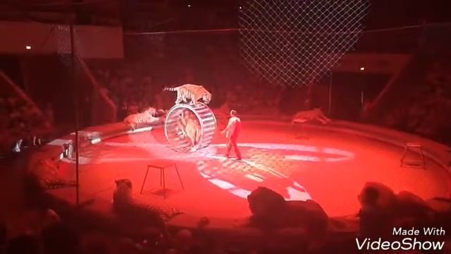 ШОУ ВЕЩИЙ СОН! ЦИРК БРАТЬЕВ ЗАПАШНЫХ смотреть онлайн