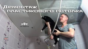 Как разобрать потолок из пластиковых панелей