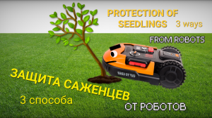 Защита саженца от робота-косилки: 3 способа