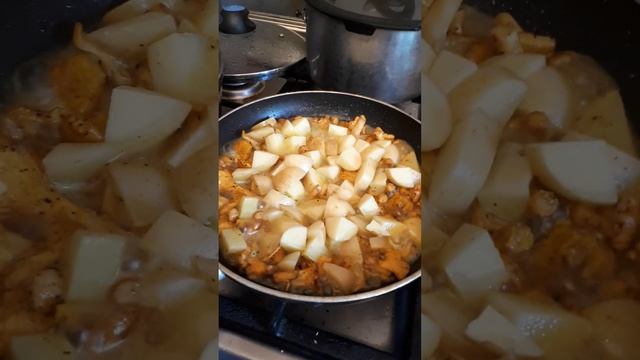 ОБЕД! ЛИСИЧКИ с КУРКУМОЙ! РЕЦЕПТ! #лисички #готовим #рецептскуркумой #грибы смотреть онлайн