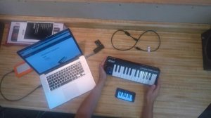 Akai LPK 25