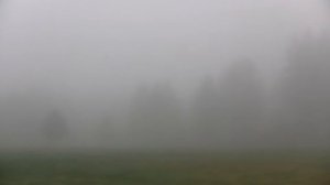 Morning Fog. Утренний туман (112sp)