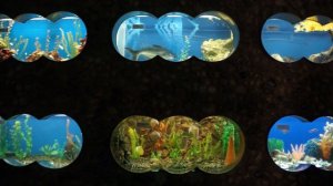 аквариум, Ростовский зоопарк, 13.05.15