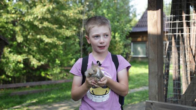 Видео отзыв о летнем лагере Два дельфина в г. Вологда