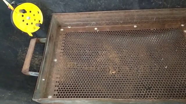 ФИЛЬТРУЮ ДОХЛОГО ОТ ЖИВОГО смотреть онлайн