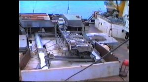 ПЛАВБАЗЫ НА РЕЙДЕ ХОЛМСКА 1994г