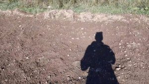 Подготовка земли для посадки озимого чеснока