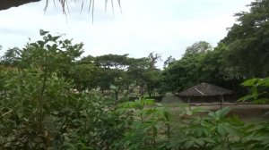 Зимовка на Бали с Ребёнком: Районы, Цены, Достопримечательности