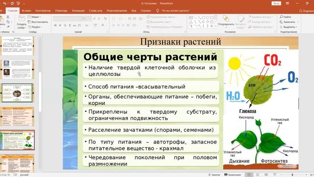 Ботаника как наука (Биология - 6, урок 1)