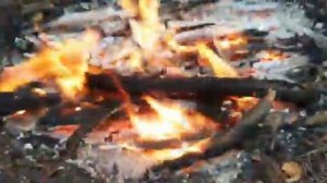 Ставлю петли на зайца зимой .Рассказываю как правильно ставить петли на зайца