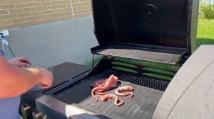Салат из осьминога су вид с овощами и бальзамической заправкой