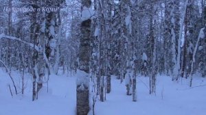 На буране до первой избы. Рыбалка. Поход на лыжах. 3/3.