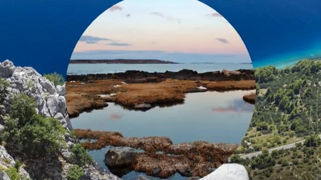 ПРИКОЛЬНЫЕ КАРТИНКИ смотреть онлайн