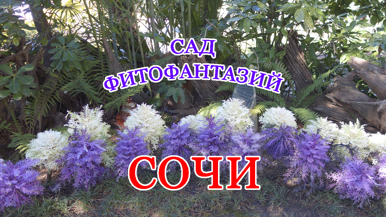 Сочи Сад фитофантазий Нераскрученная достопримечательность.