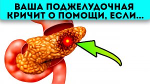 Прислушайтесь! Панкреатит можно предотвратить, если услышите эти сигналы