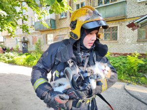 Спасение кошки на пожаре