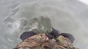 Зимняя блесна Рожковская 30мм от WINTERLURES