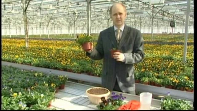 РАССАДА НА ПОДОКОННИКЕ! смотреть онлайн