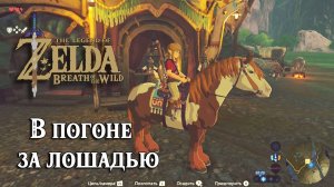 В погоне за лошадью. The Legend of Zelda Breath of the Wild. Wild Horses