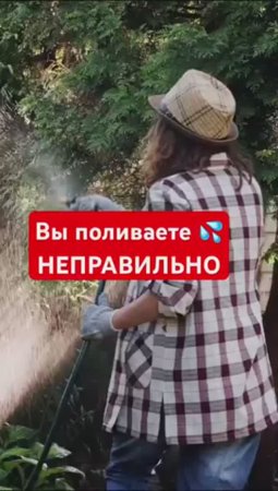 НИКОГДА НЕ поливайте так (ошибки полива)