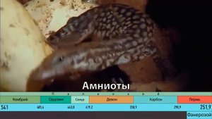 КАМЕННОУГОЛЬНЫЙ ПЕРИОД. Развитие жизни на Земле. 8 серия _ Эпоха гигантизма. Амфибии и амниоты