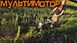 Это настоящее произведение инженерной мысли (Мультимотор STIHL MM 55-56)