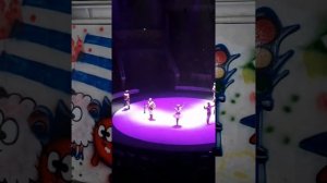 Цирк, цирк, цирк