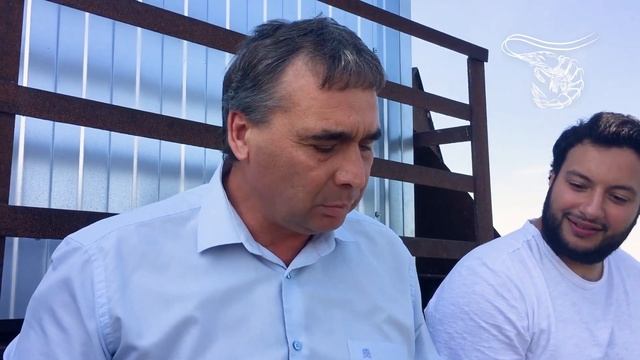 Свежая креветка ЭЛЛАС для министра смотреть онлайн