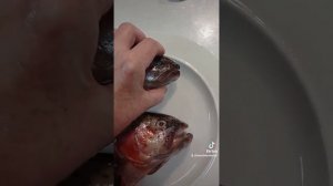 как купить форель с икрой. по секрету всему свету