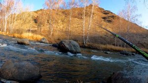 GoPro 9 Black.Хариус рыбалка. Восточный Казахстан.