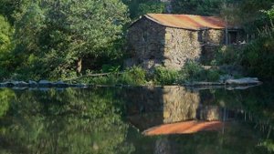 Шестой дом в Водолее