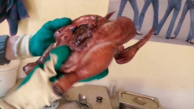 #1 Горячее Копчение Курицы натуральным дымом в коптильне КоптиСам