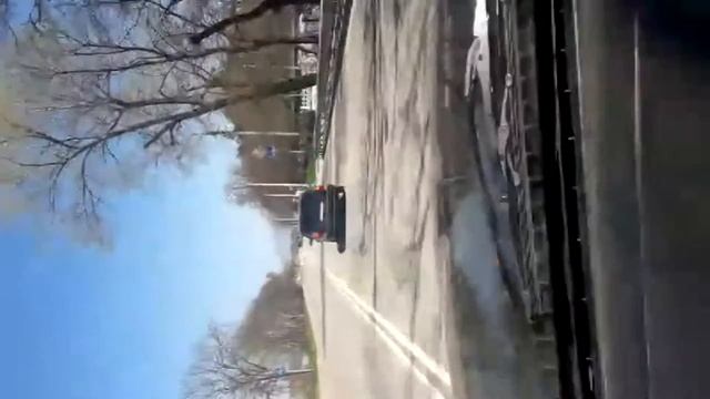 Княжеское бешенство 1
