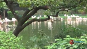 Гон Конг. Город Гон Конг - туристический центр Азии.