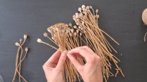 Как собрать букет по спирали из сухоцветов