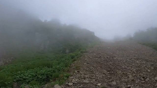 Подъём на Роза Пик 2022. Новый маршрут. Озёра, цветы, медвежьи какашки. смотреть онлайн