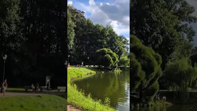 переезд в Москву/последние дни в Петербурге
заземляемся🧚♀️