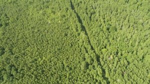 Россия Комсомольск на Амуре 6 и19 Июня 2021. Озеро Амут 20 Июня 2021