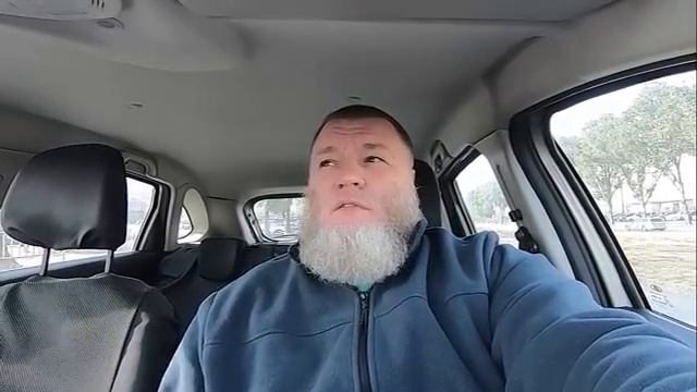 Пчелы. Грибы. Покупки. Перспективы. ВЛОЖИК смотреть онлайн