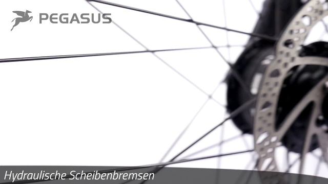PEGASUS Solero SL Disc Modell 2016 | Produktvideo