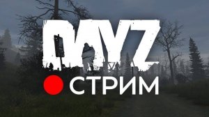 Dayz - ищем новые знакомства)))