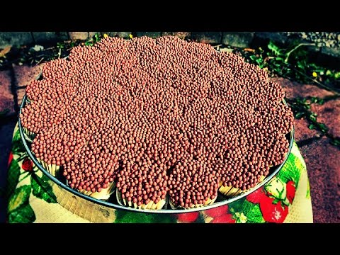 Что Будет, Если Поджечь 10 000 Спичек