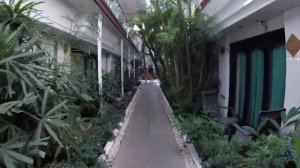 Estrela Do Mar Beach Resort - отель 3* (Индия, Северный Гоа, Калангут). Обзор отеля.