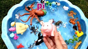 NEW Shark Octopus Walrus Dog Frog Toy Figures Unboxing!