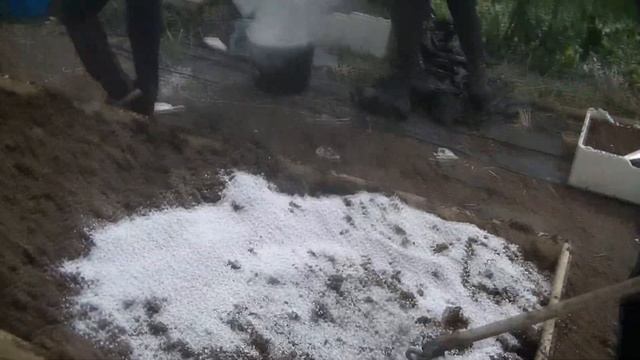 Высадка саженцев на маточный корень смотреть онлайн